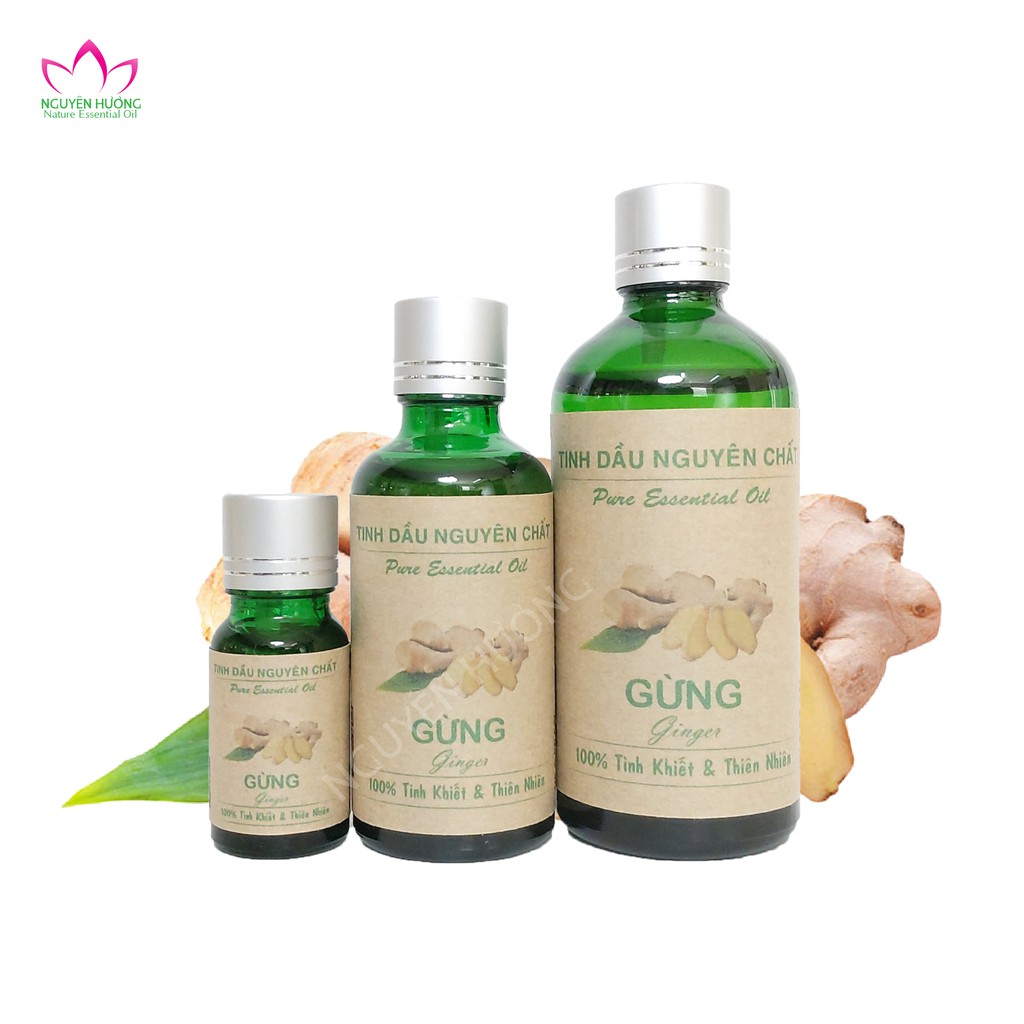 Tinh dầu Gừng Việt Nguyên Chất | Xông Thơm Phòng | Kết Hợp Dầu Nền Massage Body