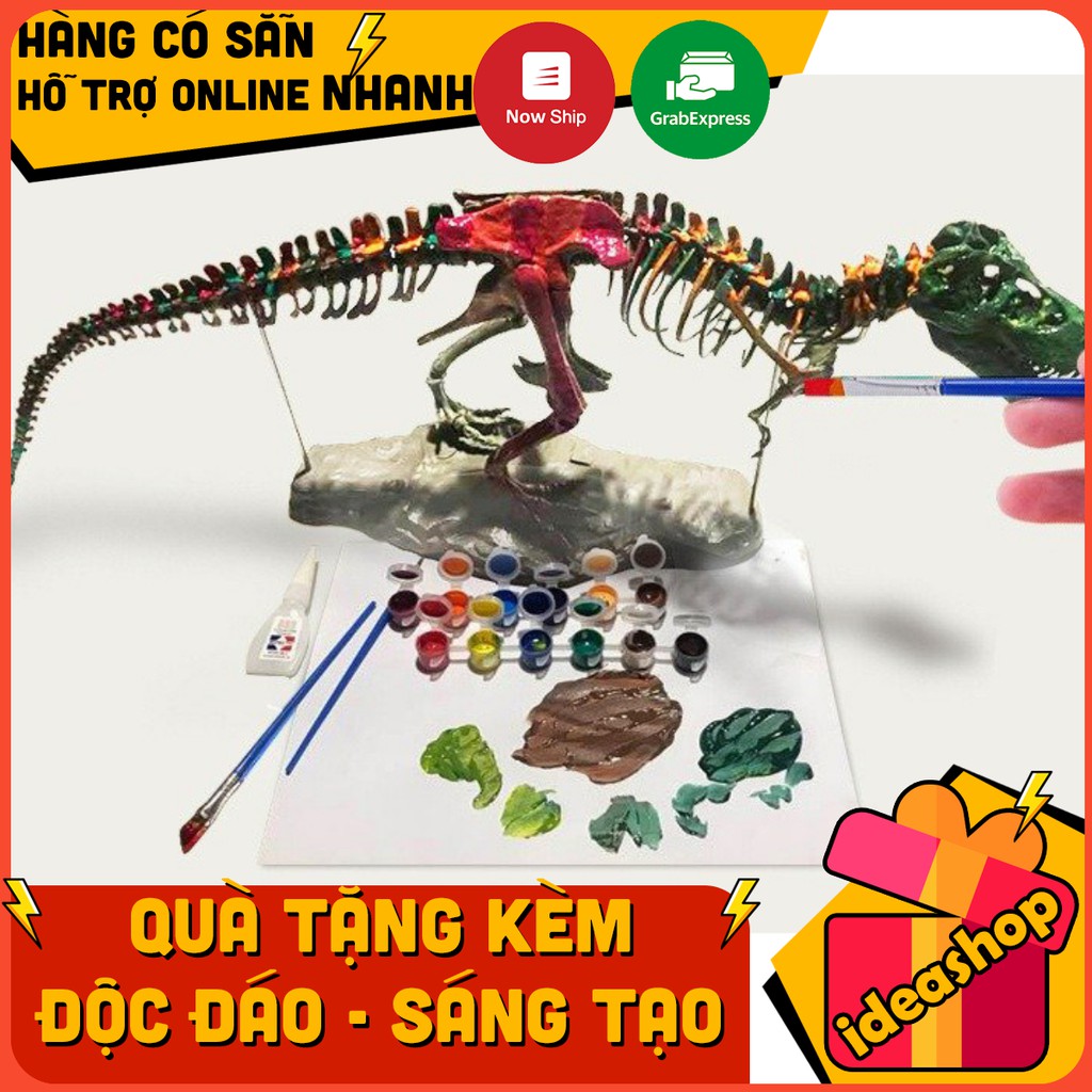 BỘ ĐỒ CHƠI LẮP RÁP MÔ HÌNH XƯƠNG KHỦNG LONG T-REX KÈM MÀU VẼ