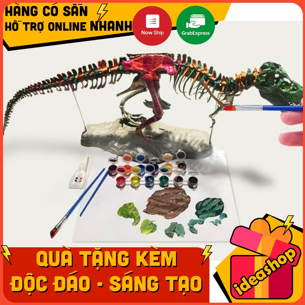 LẮP RÁP MÔ HÌNH XƯƠNG KHỦNG LONG T-REX (4D ASSEMBLED TRIANGLE DRAGON FOSSIL DINOSAUR SKELETON MODEL)