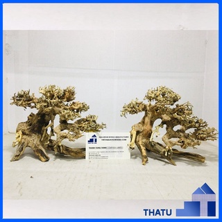 Lũa bonsai mini trang trí bể thủy sinh, cá cảnh BS05