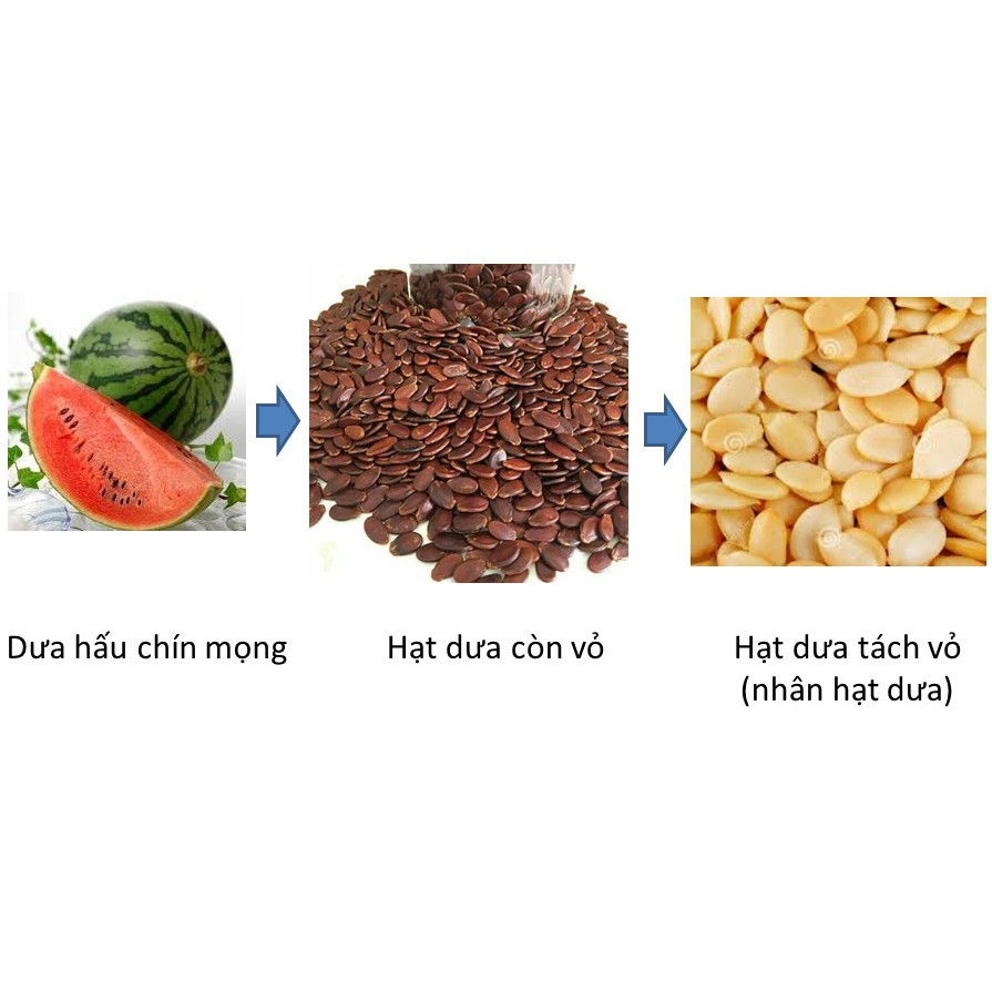 Hạt dưa, Hạt bí, Hạt hướng dương Loại đặc biệt, Túi 500gr