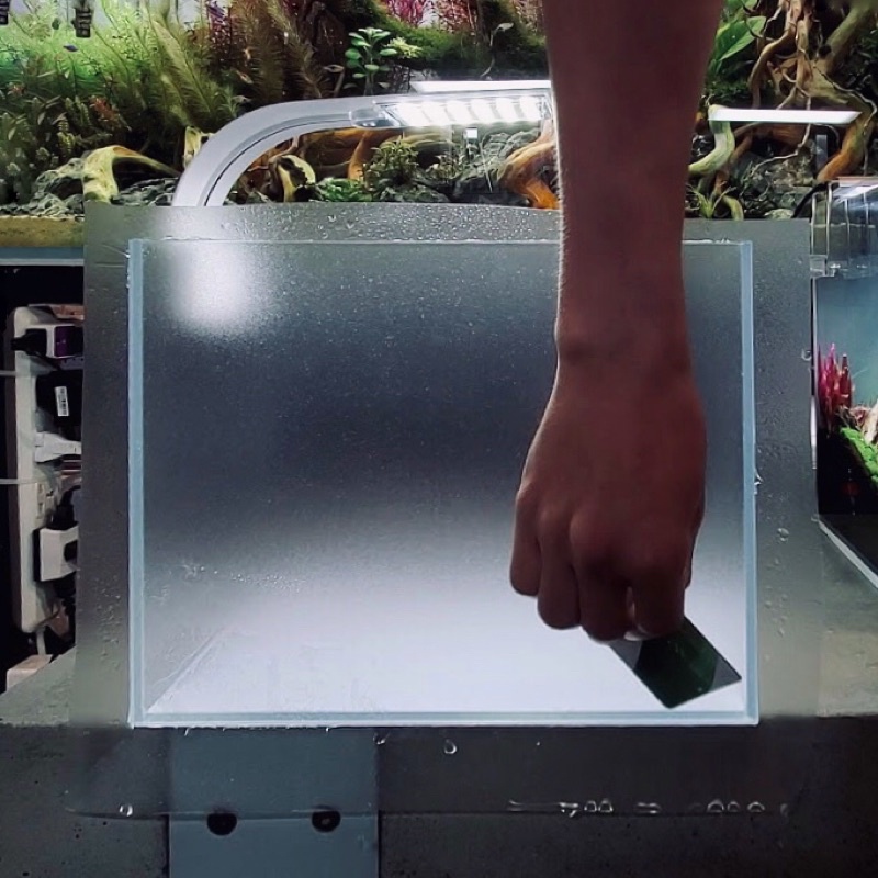 Decan Dán Bể Cá Cảnh thuỷ sinh nhiều kích thước