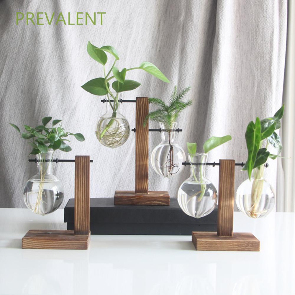 Set bình thủy tinh và khung gỗ dùng để trồng cây thủy canh trang trí nhà ở tinh tế hiện đại