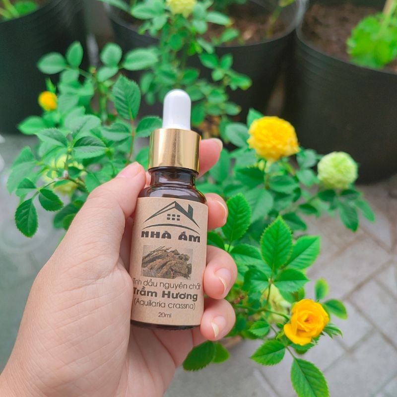 Tinh dầu trầm hương 20ml mùi hương đặc trưng của trầm ngọt ngào và ấm !