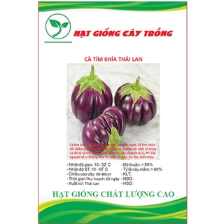 Hạt giống cà tím khía thái lan ct273 - gói 0.3gram
