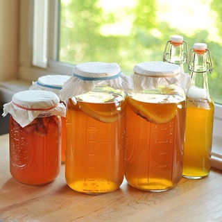 Size to-Nấm Kombucha-Thủy sâm-đồ uống  có gas