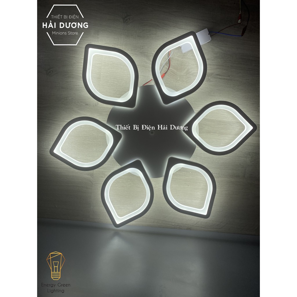 Đèn LED Ốp Trần Decor Mâm 5 Cánh Lá OT-064, Mâm 6 Cánh Hoa Sen OT-066, Mâm 5 Lá OT-070 - 3 Chế Độ Ánh Sáng