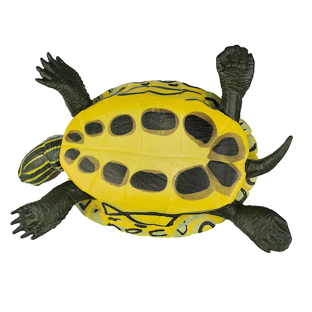 Mô Hình Con Rùa Nhựa Pvc Kích Thước 5.5inch