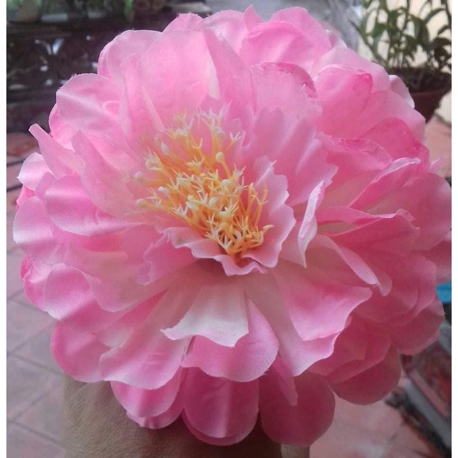 Sỉ 1 đôi hóa múa cho bé, hoa cẩm tú cầu vàng kt 16cm, đã có chun cài