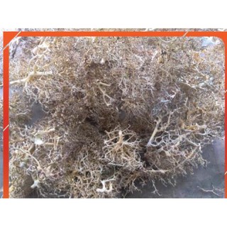 Lũa Xương Chùm 100g/30k 1kg