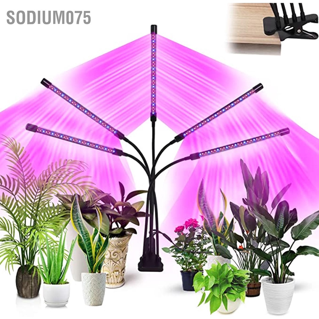 Có thể bán buôn Plant Grow Light Full Spectrum Timing Dimming 5 đầu Đèn LED màu xanh đỏ với 3 chế độ chiếu sáng cho cây trồng trong nhà Sodium075 Hàng giao ngay