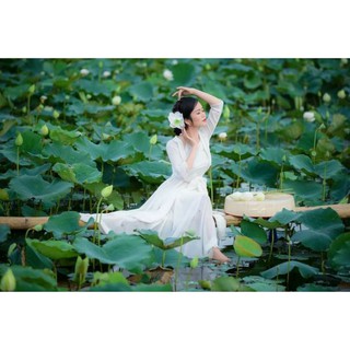 set tứ thân trắng