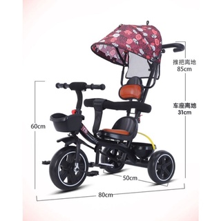 Xe đẩy 3 bánh có mái che cao cấp model 310