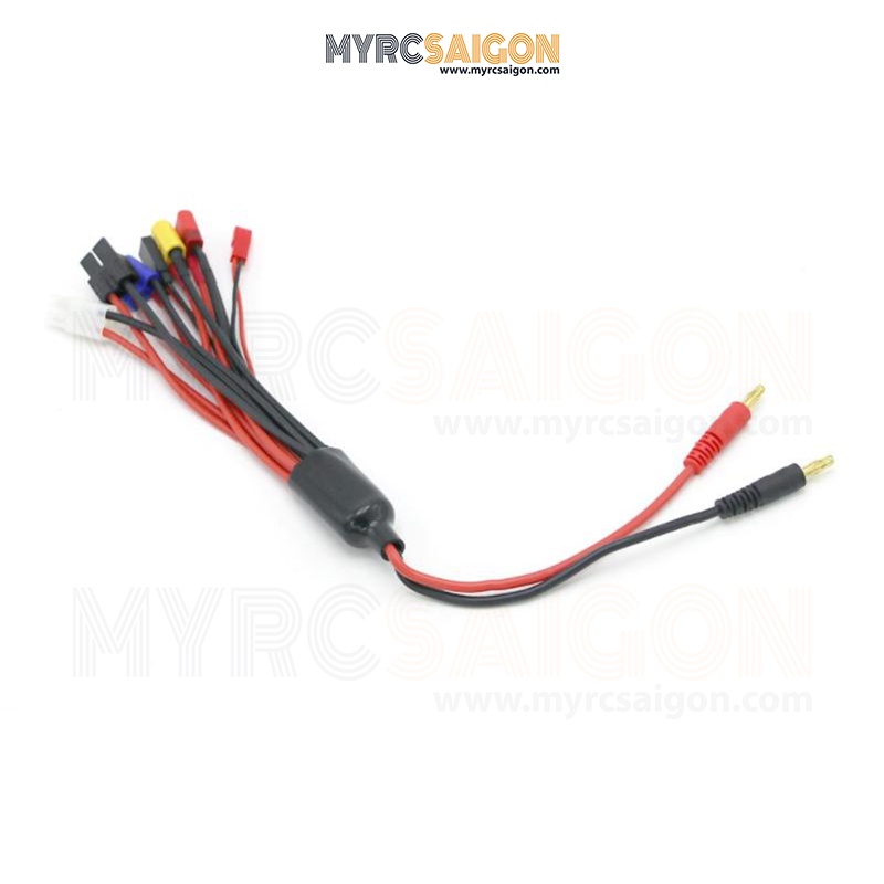 Bộ dây kết nối sạc B6