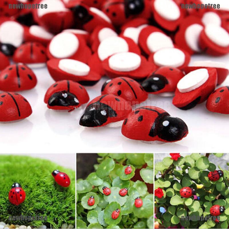 Bọ Cam Mini Trang Trí Vườn Của Bạn