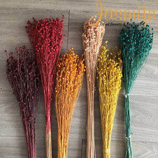Hạt đậu khô nguyên cành nhuộm màu ⭐ cành hạt đậu trang trí nhà cửa ⭐ Cỏ chùm khô