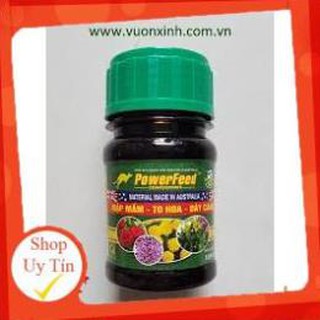 Phân cá PowerFeed - Mập mầm, to hoa, dày cánh (Chai 100ml)