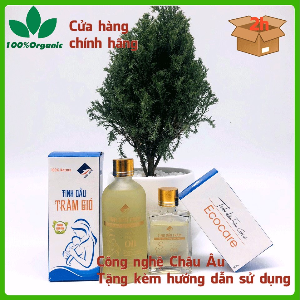 Tinh dầu tràm gió Ecocare chống ho, chống cảm, tránh gió cho bé 30ml/100ml