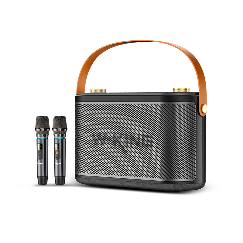 LOA BLUETOOTH KARAOKE W-KING H10 (Kèm 2 Micro Không Dây)