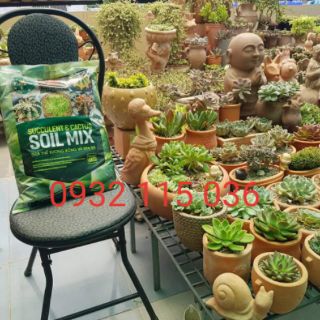 Đất trồng sen đá 500gr