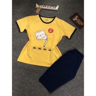 Combo khách sỉ bộ mèo