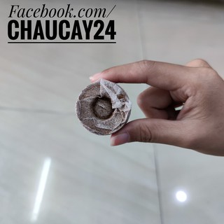 Sơ dừa trồng cây, trồng rau mầm, ươm hạt giống, dâu tây, thủy canh