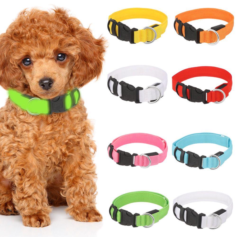 Vòng Cổ Chó Có Đèn LED Phát Sáng