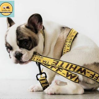 Dây xích chó mèo hàng cao cấp