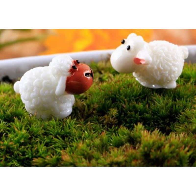 Phụ kiện trang trí tiểu cảnh - Cừu mini