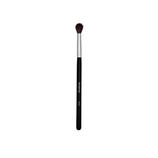 MORPHE - CỌ LẺ DÀNH CHO MẮT
