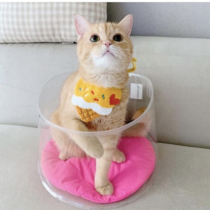 Yếm Vòng Cổ Cho Cún Mèo - 02