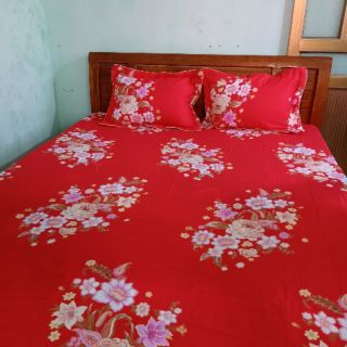 Chăn ga cotton hàn quốc thắng lợi set 4 món ga chun 2 vỏ gối đầu vỏ chăn