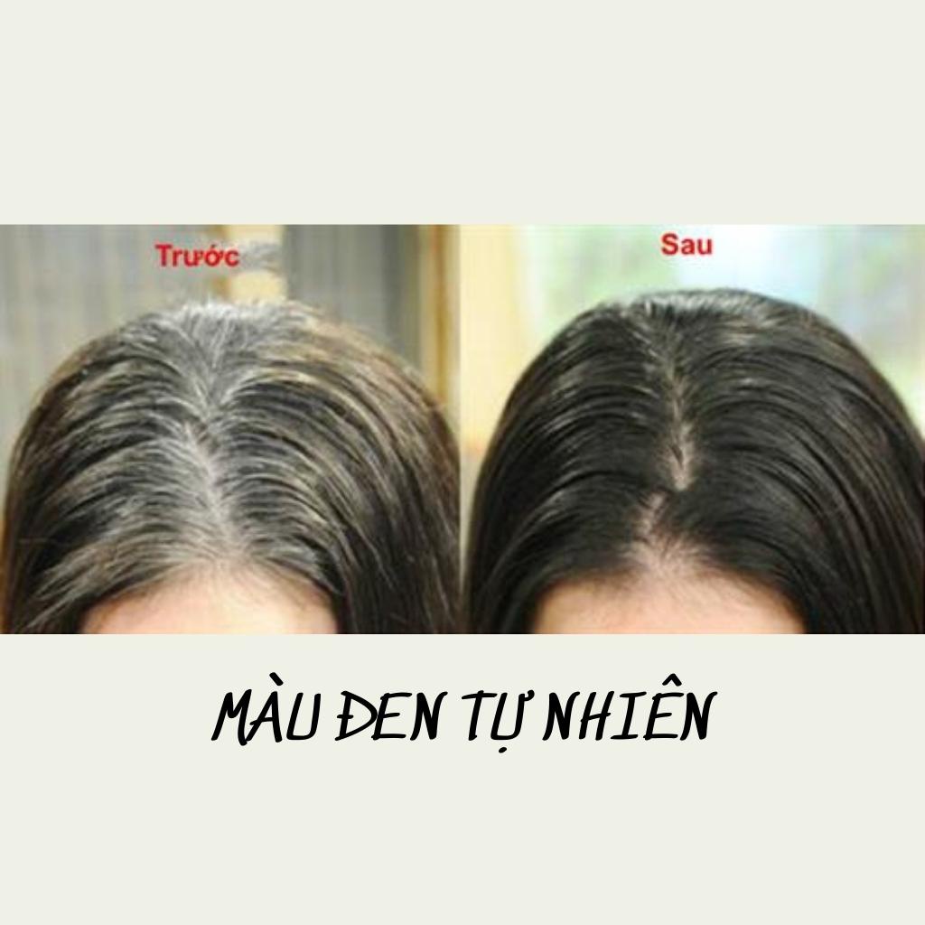 Dầu Gội Phủ Bạc Gelissa 500ml Nhật Bản Dầu Gội Nhuộm Tóc Đen Thảo Dược Tự Nhiên An Toàn Chăm Sóc Tóc SHOP 9999