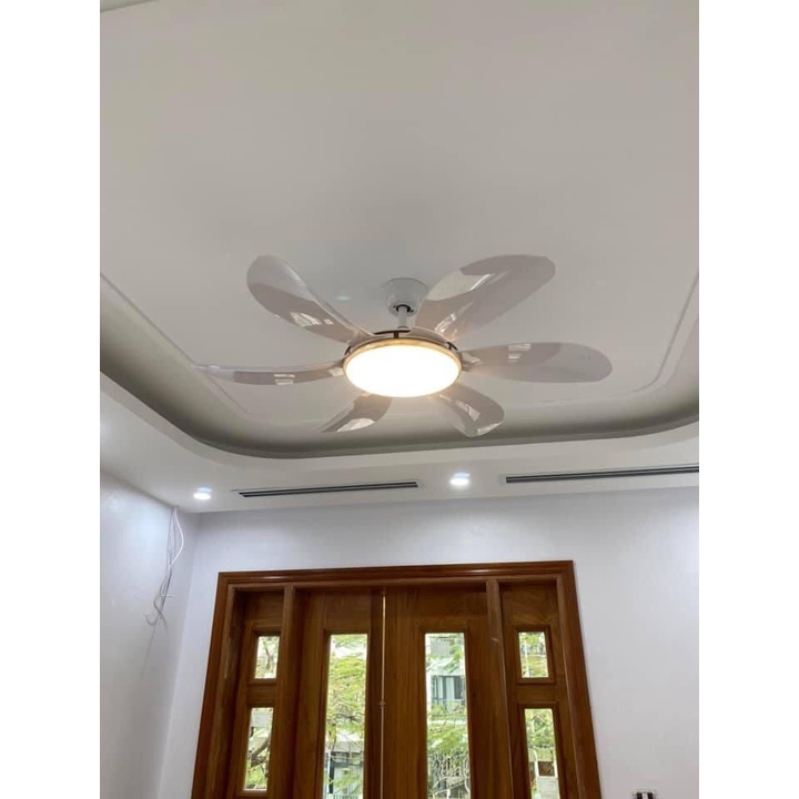 Quạt trần đèn trang trí cánh cong,điều khiển cầm tay từ xa 6 chế độ mát có đảo chiều hút ẩm mùa đông,bảo hành 5 năm