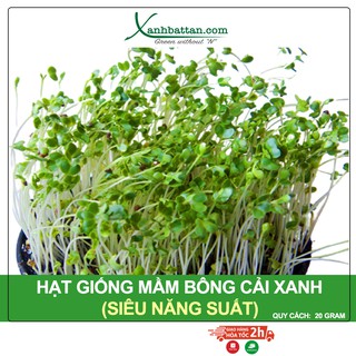 Hạt Giống Mầm Bông Cải Xanh Italia Gói 20 Gram
