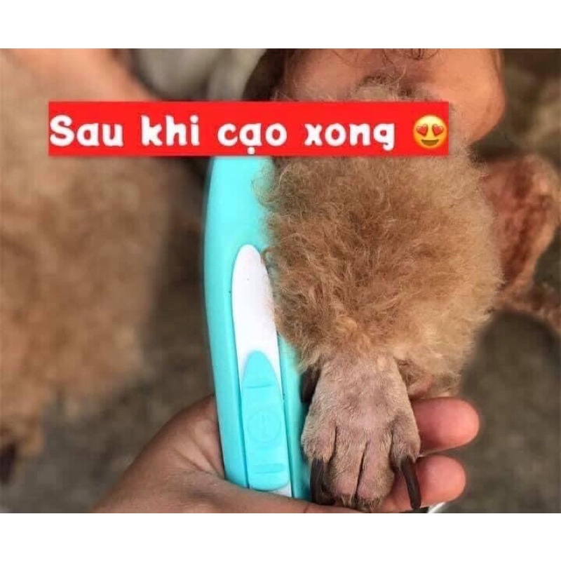 Tông đơ cho thú cưng