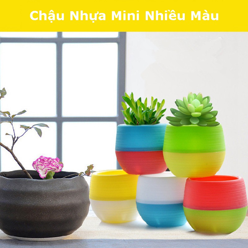 Chậu Nhựa Mini Nhiều Màu Trồng Sen Đá, Xương Rồng, Tiểu Cảnh, Cây Để Bàn Trang Trí Văn Phòng