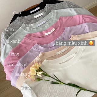 Áo thun gân tăm cổ tròn màu basic