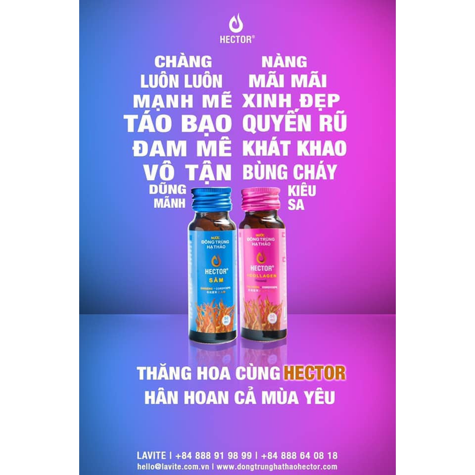 [CHÍNH HÃNG] Nước Đông Trùng Hạ Thảo Hector Sâm Hộp 10 Chai Hector Cordyceps Ginseng