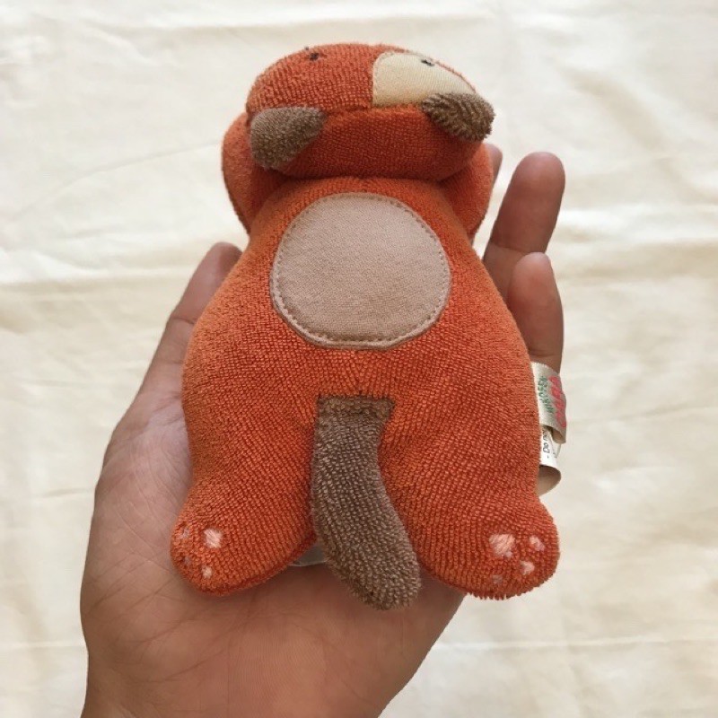 Mèo nhỏ cầm tay Hikosen Cara