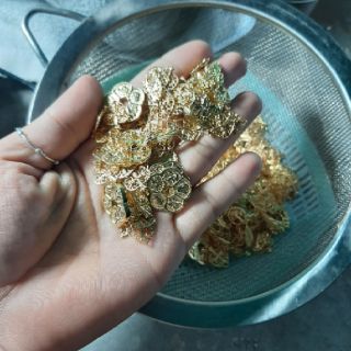 Hoa mai kim tiền Bạc dát vàng