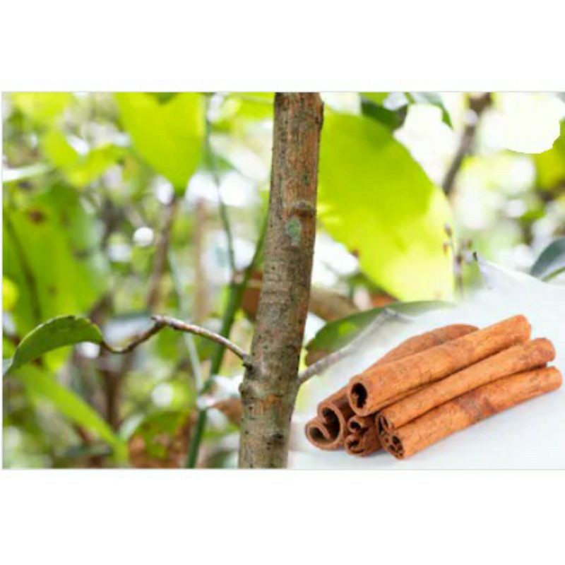 Quế khô thanh 500gr