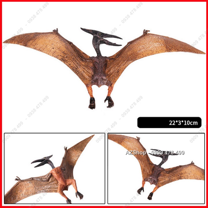 Mô Hình Thằn Lằn Bay Pteranodon Sải Cánh 22cm - Khủng Long Tiền Sử - 7748.2