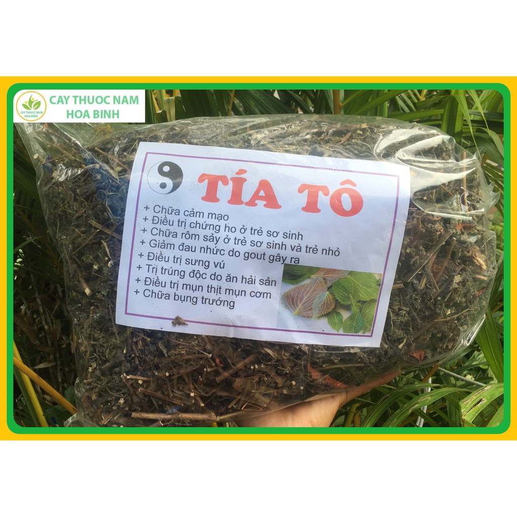 1kg lá cành cây tía tô (cam kết khô, thơm, mới)