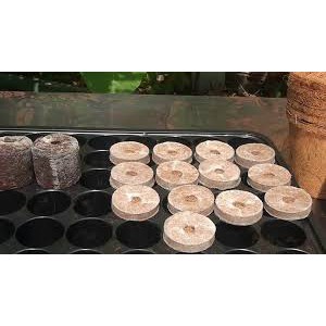 Viên nén ươm mầm chất lượng tốt