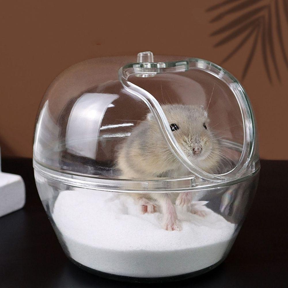 Bồn Tắm Trong Suốt Tinh Tế Dành Cho Chuột Hamster