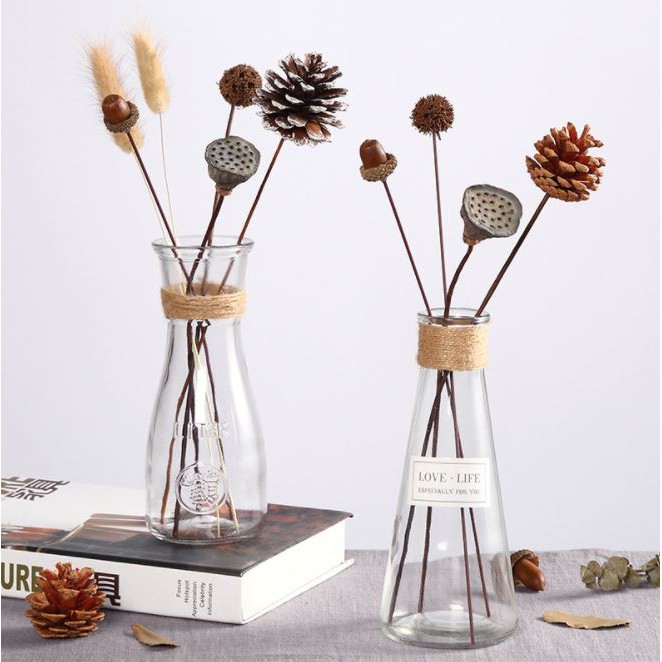 Cành quả Sồi trang trí decor