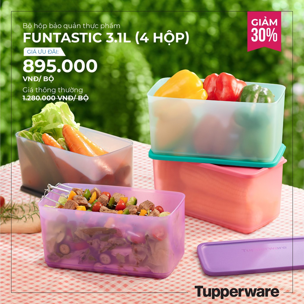 Hộp trữ mát FUNTASTIC 3.1L 27.5 x 13.6 x 12.8cm