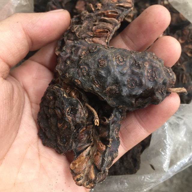 Quả Nhàu 1kg