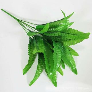 Cụm lá dương sỉ 7 nhánh 21 lá